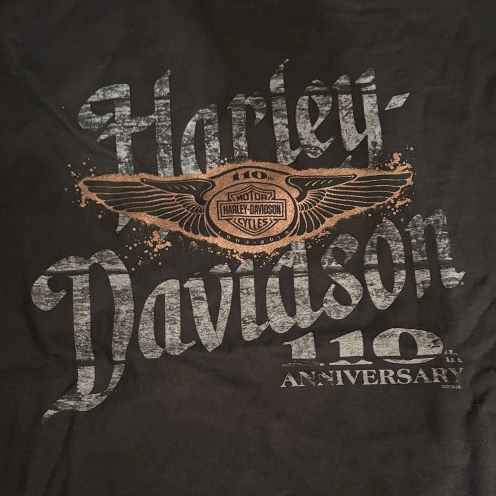 Harley-Davidson Black and Gold 110th Anniversary Tee Zepka Johnstown PA
